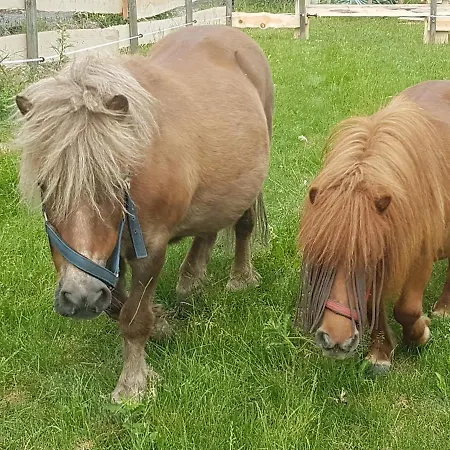 Ferieanlegg Utvika *